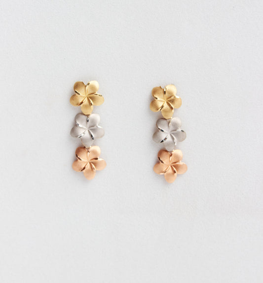 Aretes Florentine